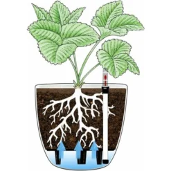 Bac à Fleurs Auto-Irrigation Blanc 15.5 13cm En Plastique Rond Lot De 4, Pot Avec Réserve D'eau Et Indicateur De Niveau D'eau Pot Avec Système D'arrosage 10 Bac à Fleurs Auto-Irrigation Blanc 15.5 13cm En Plastique Rond Lot De 4, Pot Avec Réserve D'eau Et Indicateur De Niveau D'eau Pot Avec Système D'arrosage -Promos Jardin Noble Magasin 51373606 4