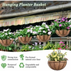 Panier De Fleurs à Suspendre, Revêtement Mural En Métal Avec Suspension Pots De Fleurs En Noix De Coco Naturelle, Revêtement En Forme De Bol Pour Paniers Suspendus, Pot De Fleurs De Jardin (20,3 Cm) -Promos Jardin Noble Magasin 51554310 4