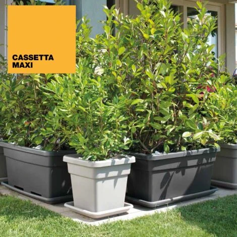 Soucoupe Pour Maxi Fleur 80 Cm. 4 Soucoupe Pour Maxi Fleur 80 Cm. – Image 2