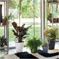 DEROMA Pot De Fleurs Save R Bianco A Réserve D'eau - Coloris Blanc - 20cm -Promos Jardin Noble Magasin 52174253 4