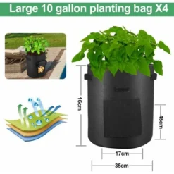 Sacs De Plantation De Pommes De Terre, 4pcs Sac Non Tissé De 10 Gallons, Sac De Plantation De Plantes,Convient Aux Sacs De Plantation De Pommes De Terre, Tomates, Carottes Douces (Noir) 8 Sacs De Plantation De Pommes De Terre, 4pcs Sac Non Tissé De 10 Gallons, Sac De Plantation De Plantes,Convient Aux Sacs De Plantation De Pommes De Terre, Tomates, Carottes Douces (Noir) -Promos Jardin Noble Magasin 52506897 2