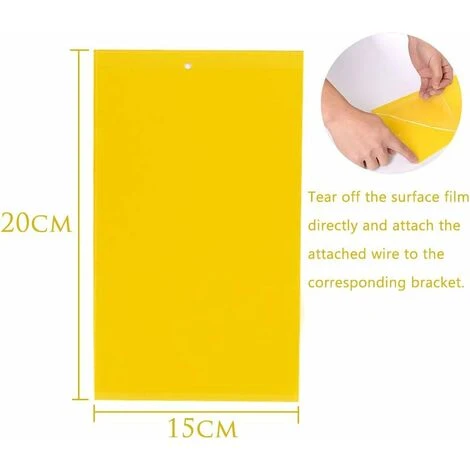 Pièges à Insectes Volants 30PCS Piège Engluées Colle Double Face Autocollants Jaune Papier Étanche Anti-Insecte Pour Jardin Plante Fleur Fruits Protection ( Attaches élastiques Fournies ) 4 Pièges à Insectes Volants 30PCS Piège Engluées Colle Double Face Autocollants Jaune Papier Étanche Anti-Insecte Pour Jardin Plante Fleur Fruits Protection ( Attaches élastiques Fournies ) – Image 2