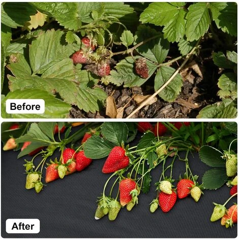 Sekey Toile De Paillage 50g/m2 Perméable à L'eau, Géo Textile De Jardin Résistante Aux Déchirures, Bâche Anti Mauvaises Herbe, Haute Stabilité UV, Film Anti-Mauvaises Herbes, Dégradable, 2m X 5m 4 Sekey Toile De Paillage 50g/m2 Perméable à L'eau, Géo Textile De Jardin Résistante Aux Déchirures, Bâche Anti Mauvaises Herbe, Haute Stabilité UV, Film Anti-Mauvaises Herbes, Dégradable, 2m X 5m – Image 2