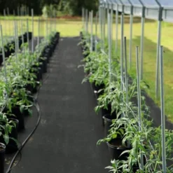 Sekey Toile De Paillage 50g/m2 Perméable à L'eau, Géo Textile De Jardin Résistante Aux Déchirures, Bâche Anti Mauvaises Herbe, Haute Stabilité UV, Film Anti-Mauvaises Herbes, Dégradable, 2m X 5m 9 Sekey Toile De Paillage 50g/m2 Perméable à L'eau, Géo Textile De Jardin Résistante Aux Déchirures, Bâche Anti Mauvaises Herbe, Haute Stabilité UV, Film Anti-Mauvaises Herbes, Dégradable, 2m X 5m -Promos Jardin Noble Magasin 57482631 3