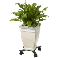 Support Roulant Réglable Pour Plantes 4 Bras Métal Noir Nature 11 Support Roulant Réglable Pour Plantes 4 Bras Métal Noir Nature -Promos Jardin Noble Magasin 57913025 5