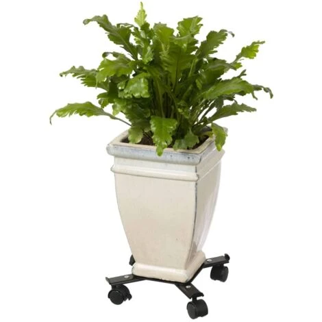 Support Roulant Réglable Pour Plantes 4 Bras Métal Noir Nature 7 Support Roulant Réglable Pour Plantes 4 Bras Métal Noir Nature – Image 5