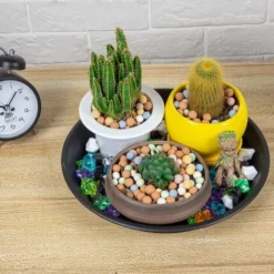 Soucoupes Pour Pots De Fleurs Lot De 6 Soucoupes En Plastique Pour Plantes D'intérieur Et D'extérieur Gris 14 Cm -Promos Jardin Noble Magasin 59003751 3