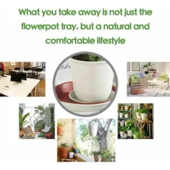 Soucoupes Pour Pots De Fleurs Lot De 6 Soucoupes En Plastique Pour Plantes D'intérieur Et D'extérieur Gris 14 Cm -Promos Jardin Noble Magasin 59003751 4