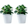 Lot De 2 Pots De Fleurs Muraux En Plastique à Suspendre Pour L'intérieur, L'extérieur, Le Jardin, Le Balcon, , Gris -Promos Jardin Noble Magasin 59718031 1