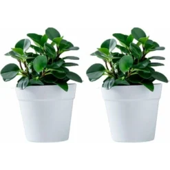 Lot De 2 Pots De Fleurs Muraux En Plastique à Suspendre Pour L'intérieur, L'extérieur, Le Jardin, Le Balcon, , Gris