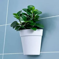 Lot De 2 Pots De Fleurs Muraux En Plastique à Suspendre Pour L'intérieur, L'extérieur, Le Jardin, Le Balcon, , Gris -Promos Jardin Noble Magasin 59718031 3