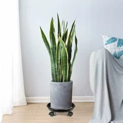 RHAFAYRE Support Moile De Bac à Plantes Avec Roulettes Pour Un Déplacement Facile - Plateau De Jardinière Rond Mobile - Pour Intérieur Et Extérieur - Noir-Diamètre Intérieur à 27cm -Promos Jardin Noble Magasin 61187186 5