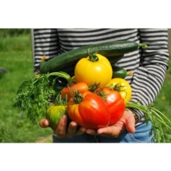 Decis Protech Home 100ml Insecticide Polyvalente -Promos Jardin Noble Magasin 61352731 4