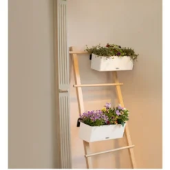 Lechuza Cube Color Triple Blanc Brun