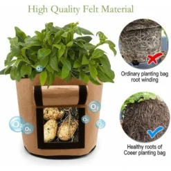 3 Sacs De Culture De Pommes De Terre, Sac De Plantation Jardin Tissu Non Tissé Avec Poignées Fenêtre Sac à Plantes Pour Patate Fraise Tomate Fleur Patios Jardin Balcons -Promos Jardin Noble Magasin 64148173 3