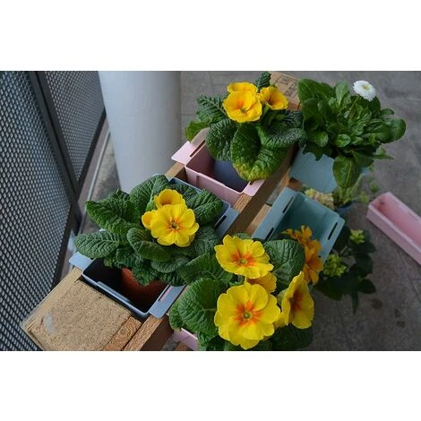 Lot De 8 Jardinières En Plastique Pour Palettes ARTECSIS Bacs à Fleurs Décoration Jardin 9x36.8x9.5cm - Rectangulaire - Gris Béton 6 Lot De 8 Jardinières En Plastique Pour Palettes ARTECSIS Bacs à Fleurs Décoration Jardin 9x36.8x9.5cm - Rectangulaire - Gris Béton – Image 4