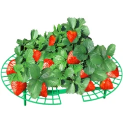 WENKO Support Fraisier, Support Jardinage Anti Limaces Et Escargots, Plastique Résistant, Diamètre Réglable 31 à 40 Cm, Vert -Promos Jardin Noble Magasin 6580376 4