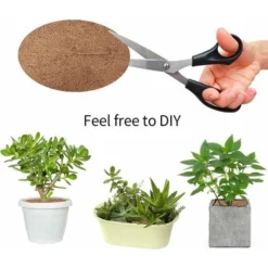 Disque De Paillage, Paillage, 6 Pièces Disque Paillage Coco, 30 X 30cm Fibre De Noix De Coco Disque De Paillage, L'hiver Plantes Protection Tapis, Tapis Coco Plante Pour Les Arbres Et Les Plantes Ephé -Promos Jardin Noble Magasin 66085985 3