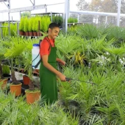 Pulvérisateur à Dos 12 Litres -Promos Jardin Noble Magasin 67973 3