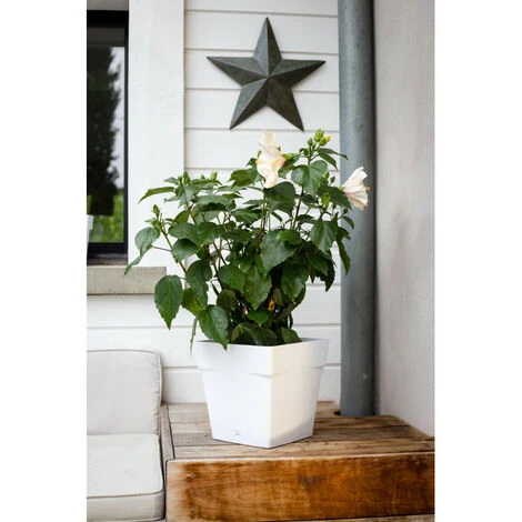 Pot Carré Toscane Avec Réserve D'eau 3.4L - 18x18cm - Blanc - EDA Plastiques 4 Pot Carré Toscane Avec Réserve D'eau 3.4L - 18x18cm - Blanc - EDA Plastiques – Image 2