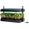 Mini Jardin Noir Avec Lampes 2x24W - Garland Potager Cuisine Et Salon 1 Mini Jardin Noir Avec Lampes 2x24W - Garland Potager Cuisine Et Salon -Promos Jardin Noble Magasin 7118394 1
