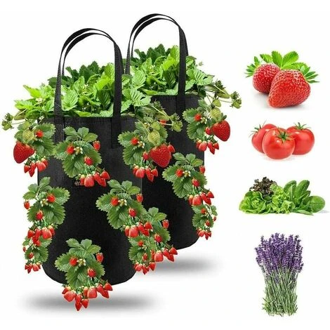 2pcs Sac De Plantation Pour Fraise, Sacs De Culture �� Fraises Suspendu Jardin Avec 13 Trous, Sac De Plantation Pour Fraises, Herbes, Tomates - 3 Gallons (2pcs - Noir) 3 2pcs Sac De Plantation Pour Fraise, Sacs De Culture �� Fraises Suspendu Jardin Avec 13 Trous, Sac De Plantation Pour Fraises, Herbes, Tomates - 3 Gallons (2pcs - Noir)