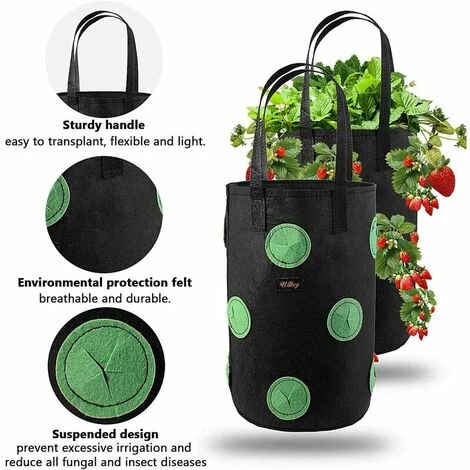 2pcs Sac De Plantation Pour Fraise, Sacs De Culture �� Fraises Suspendu Jardin Avec 13 Trous, Sac De Plantation Pour Fraises, Herbes, Tomates - 3 Gallons (2pcs - Noir) 4 2pcs Sac De Plantation Pour Fraise, Sacs De Culture �� Fraises Suspendu Jardin Avec 13 Trous, Sac De Plantation Pour Fraises, Herbes, Tomates - 3 Gallons (2pcs - Noir) – Image 2