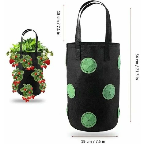 2pcs Sac De Plantation Pour Fraise, Sacs De Culture �� Fraises Suspendu Jardin Avec 13 Trous, Sac De Plantation Pour Fraises, Herbes, Tomates - 3 Gallons (2pcs - Noir) 5 2pcs Sac De Plantation Pour Fraise, Sacs De Culture �� Fraises Suspendu Jardin Avec 13 Trous, Sac De Plantation Pour Fraises, Herbes, Tomates - 3 Gallons (2pcs - Noir) – Image 3