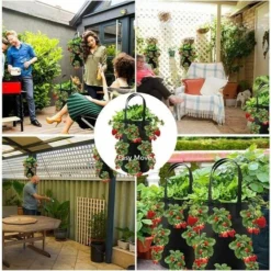 2pcs Sac De Plantation Pour Fraise, Sacs De Culture �� Fraises Suspendu Jardin Avec 13 Trous, Sac De Plantation Pour Fraises, Herbes, Tomates - 3 Gallons (2pcs - Noir) 11 2pcs Sac De Plantation Pour Fraise, Sacs De Culture �� Fraises Suspendu Jardin Avec 13 Trous, Sac De Plantation Pour Fraises, Herbes, Tomates - 3 Gallons (2pcs - Noir) -Promos Jardin Noble Magasin 73210566 5