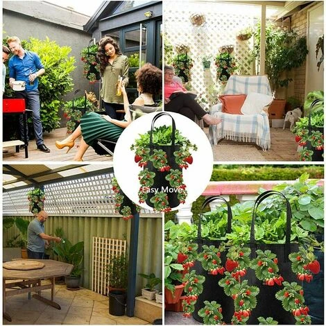 2pcs Sac De Plantation Pour Fraise, Sacs De Culture �� Fraises Suspendu Jardin Avec 13 Trous, Sac De Plantation Pour Fraises, Herbes, Tomates - 3 Gallons (2pcs - Noir) 7 2pcs Sac De Plantation Pour Fraise, Sacs De Culture �� Fraises Suspendu Jardin Avec 13 Trous, Sac De Plantation Pour Fraises, Herbes, Tomates - 3 Gallons (2pcs - Noir) – Image 5
