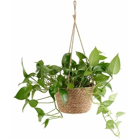 GP Pot De Fleurs à Suspendre En Corde De Jute - Panier Pliable En Jonc De Mer, Macramé - Pour Plantes Succulentes, Décoration Intérieure Ou Extérieure 4 GP Pot De Fleurs à Suspendre En Corde De Jute - Panier Pliable En Jonc De Mer, Macramé - Pour Plantes Succulentes, Décoration Intérieure Ou Extérieure – Image 2