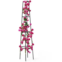 Tuteur Pour Plantes Grimpantes En Métal 200 CM Arche De Jardin Support Rosier