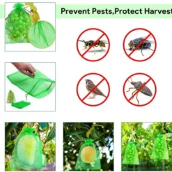 Sac Protection Fruits 100 Pièces, Sachet Protection Raisin 20x 30cm Jardin Sac Organza Avec Cordon Contre Guêpe Drosophile Scarabées Oiseaux (Vert)LO-Ron -Promos Jardin Noble Magasin 78831226 4