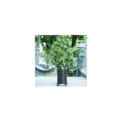 Support �� Roulettes Pour Pot De Fleur ��DITION Noire 25 X 6 Cm I Roule Pot Pour Int��rieur I Support Roulant En Acier, Rev��tement Noir, Avec Bordure I Capacit�� De Charge 60 Kg -Promos Jardin Noble Magasin 81067564 4