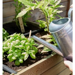 Carré Potager JARDIPOLYS Gariguette -Promos Jardin Noble Magasin 8230039 4