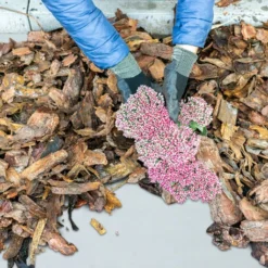 Relaxdays Géotextile Robuste, 150 G/m², Protection De Plantes, Perméable, Résistant Aux Intempéries, 1 X 50 m, Blanc -Promos Jardin Noble Magasin 83287881 3