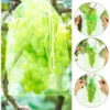 SVKBJROY Sac De Protection De Raisins, 50Pcs Sac De Protection De Grappes,17 X 23 Cm, Sachets De Protection Pour Plantes, Sac En Organza Avec Cordon De Serrage Pour Fruits(Vert) -Promos Jardin Noble Magasin 83693400 1