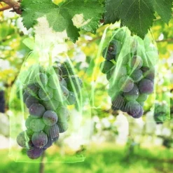 SVKBJROY Sac De Protection De Raisins, 50Pcs Sac De Protection De Grappes,17 X 23 Cm, Sachets De Protection Pour Plantes, Sac En Organza Avec Cordon De Serrage Pour Fruits(Vert) -Promos Jardin Noble Magasin 83693400 4
