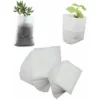 500 Pcs Sacs à Plantes Non Tissé, Sacs Biodégradables Tissu Non Tissé Pour Plantes Semis Sacs De Croissance D'élevage Pour Les Tomates, Les Fleurs, Les Plantes Et Plus - Blanc - 8 × 10 Cm, Versailles 2 500 Pcs Sacs à Plantes Non Tissé, Sacs Biodégradables Tissu Non Tissé Pour Plantes Semis Sacs De Croissance D'élevage Pour Les Tomates, Les Fleurs, Les Plantes Et Plus - Blanc - 8 × 10 Cm, Versailles -Promos Jardin Noble Magasin 83755131 1