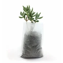 500 Pcs Sacs à Plantes Non Tissé, Sacs Biodégradables Tissu Non Tissé Pour Plantes Semis Sacs De Croissance D'élevage Pour Les Tomates, Les Fleurs, Les Plantes Et Plus - Blanc - 8 × 10 Cm, Versailles -Promos Jardin Noble Magasin 83755131 3