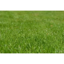 Terreau Bio Actif 40 Litres -Promos Jardin Noble Magasin 8414152 3