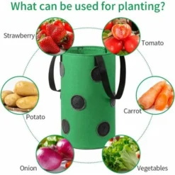 Sac Plante Non Tissé, Sac Plante Fraise Respirant, Sac Plantation Suspendu, Sac Culture Fraises, Sac Semis Fraises Jardinage, Sac Fraise Avec Poignées, Sac Fraise Jardin -Promos Jardin Noble Magasin 85564738 3
