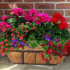 Trough Coco Liner Demi-Lune Forme Panier De Jardinière En Fibre De Coco Tentures Murales Naturelles Jardinière De Noix De Coco Pour Décoration De Fleurs De Jardin,États-Unis,24inch Pratique 11 Trough Coco Liner Demi-Lune Forme Panier De Jardinière En Fibre De Coco Tentures Murales Naturelles Jardinière De Noix De Coco Pour Décoration De Fleurs De Jardin,États-Unis,24inch Pratique -Promos Jardin Noble Magasin 87221574 5