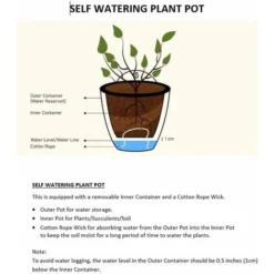 AIDUCHO Jardinières Suspendues à Arrosage Automatique Lot De 7 Deco Mural Pot De Fleur Interieur, Exterieur Decoration Murale Fenêtre Blanc Plastique, Grande, 18 Cm 9 AIDUCHO Jardinières Suspendues à Arrosage Automatique Lot De 7 Deco Mural Pot De Fleur Interieur, Exterieur Decoration Murale Fenêtre Blanc Plastique, Grande, 18 Cm -Promos Jardin Noble Magasin 88570494 3