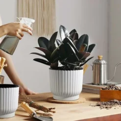 AIDUCHO 6pcs Bac à Fleurs Auto-Irrigation Plastique Rond - Blanc, Pot Avec Réserve D'eau Pot Avec Système D'Arrosage Pour Planter Les Plantes Fleur Facilement, Décoration Pour Jardin Maison 15cm -Promos Jardin Noble Magasin 88646731 5