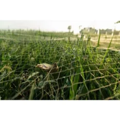 20m X 4m Filet Anti Oiseaux Noir, Filet Oiseaux Robuste, Filet Voliere Poulailler, Filet De Protection Pour Oiseaux, Filet De Protection Les Potager Et Fruits 9 20m X 4m Filet Anti Oiseaux Noir, Filet Oiseaux Robuste, Filet Voliere Poulailler, Filet De Protection Pour Oiseaux, Filet De Protection Les Potager Et Fruits -Promos Jardin Noble Magasin 89330462 3