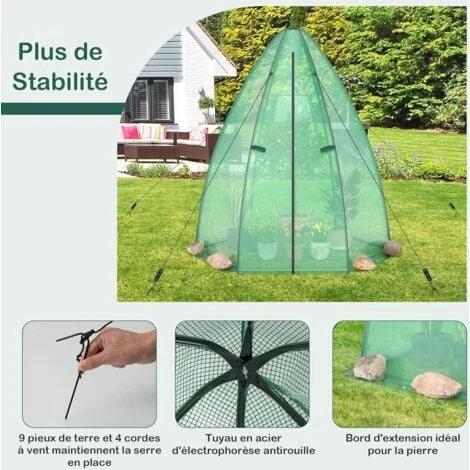 RELAX4LIFE Serre De Jardin 160X160X183cm Avec Housse De Protection, Serre Pour Plantes Avec Porte à Fermeture à Glissière Et Fenêtre Enroulable, Résistant Aux Intempéries, Pour Jardin, Balcon 5 RELAX4LIFE Serre De Jardin 160X160X183cm Avec Housse De Protection, Serre Pour Plantes Avec Porte à Fermeture à Glissière Et Fenêtre Enroulable, Résistant Aux Intempéries, Pour Jardin, Balcon – Image 3