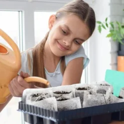 600pcs Sacs De Pépinière Non Tissés Sacs De Semis De Plantes Biodégradables Sacs Environnementaux De Culture De Plantes Pour Plantes Graines Jardin Et Maison,Superma, 186cm 10 600pcs Sacs De Pépinière Non Tissés Sacs De Semis De Plantes Biodégradables Sacs Environnementaux De Culture De Plantes Pour Plantes Graines Jardin Et Maison,Superma, 186cm -Promos Jardin Noble Magasin 89385145 4