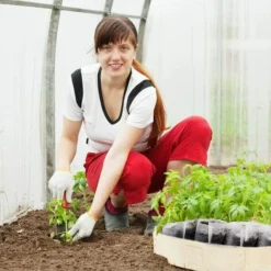 600pcs Sacs De Pépinière Non Tissés Sacs De Semis De Plantes Biodégradables Sacs Environnementaux De Culture De Plantes Pour Plantes Graines Jardin Et Maison,Superma, 186cm 11 600pcs Sacs De Pépinière Non Tissés Sacs De Semis De Plantes Biodégradables Sacs Environnementaux De Culture De Plantes Pour Plantes Graines Jardin Et Maison,Superma, 186cm -Promos Jardin Noble Magasin 89385145 5