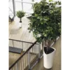 Lechuza Pot Delta Premium Blanc Ø 30 X H. 56 Cm 1 Lechuza Pot Delta Premium Blanc Ø 30 X H. 56 Cm -Promos Jardin Noble Magasin 8972246 1